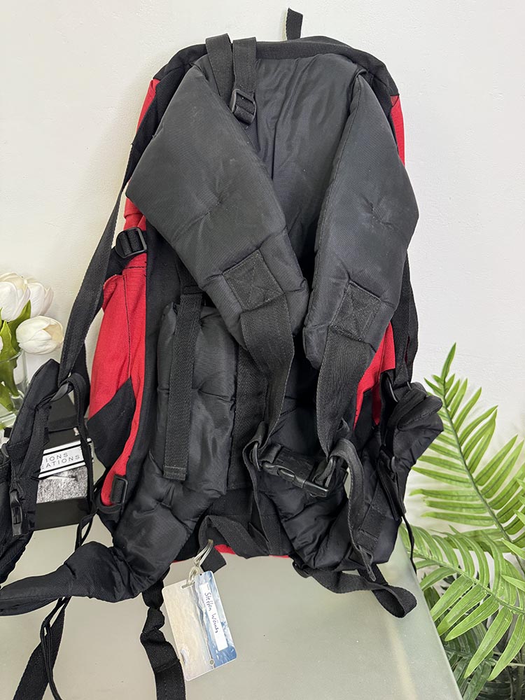 Giozdan ideal pentru drumetii cu spatele intarit - imagine 2